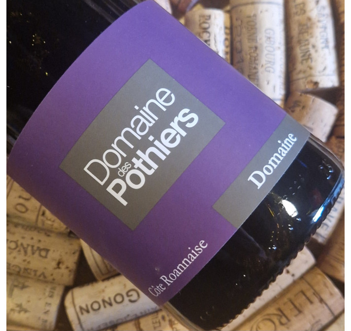 AOP Côte Roannaise Rouge "Domaine" 2022