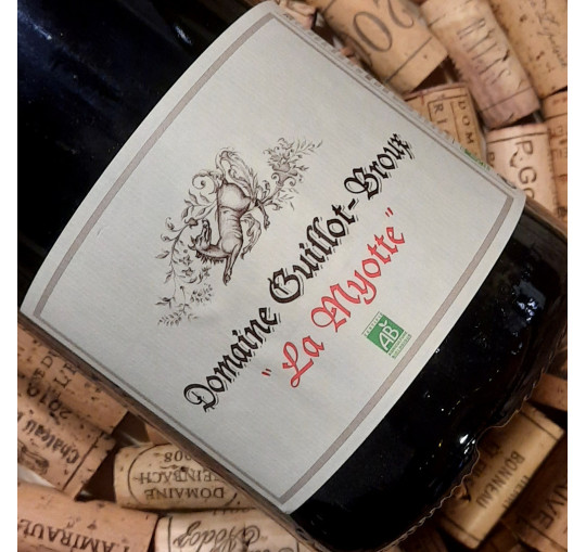 Bourgogne "La Myotte" rouge 2019 - Magnum 1,5 l
