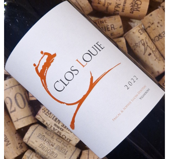 Castillon Côtes de Bordeaux rouge - 2022 - Magnum