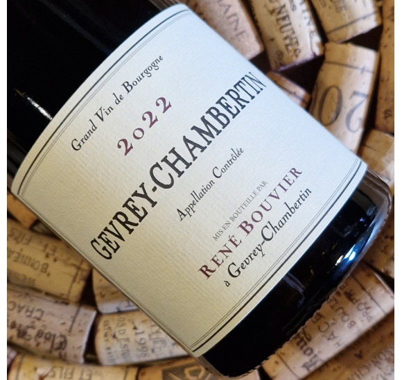 Gevrey-Chambertin Village 2022