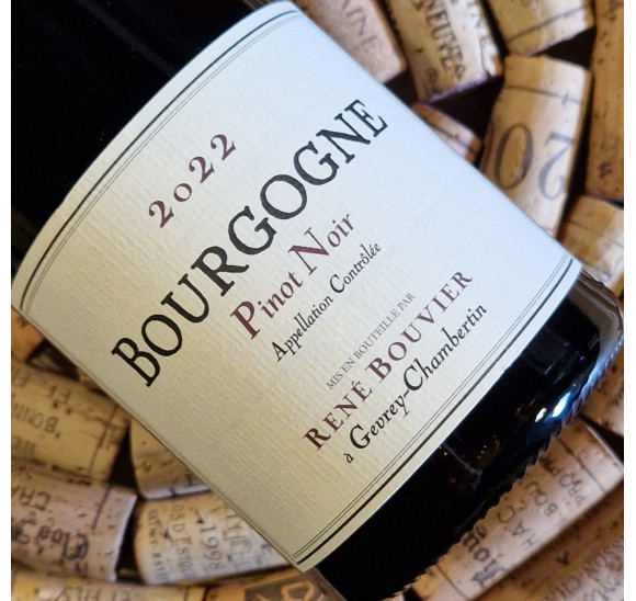 Bourgogne Pinot Noir 2022