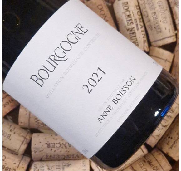 Bourgogne Aligoté 2022