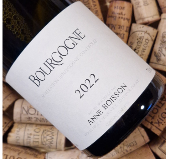 Bourgogne Blanc 2022