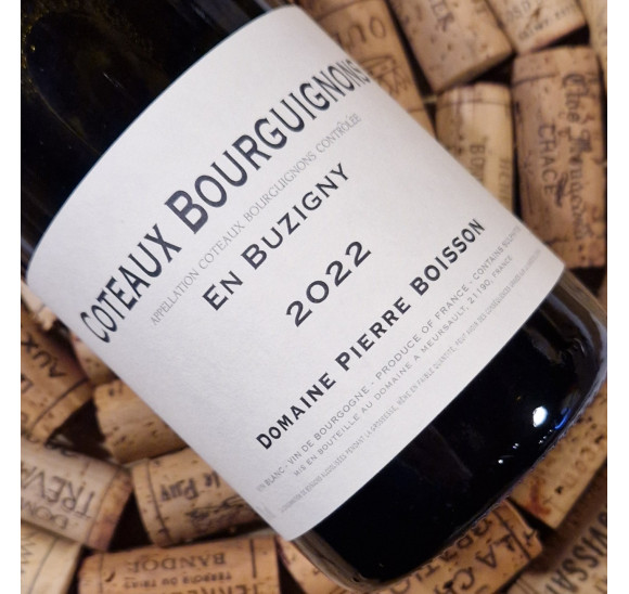 Coteaux Bourguignons "En Buzy" 2022