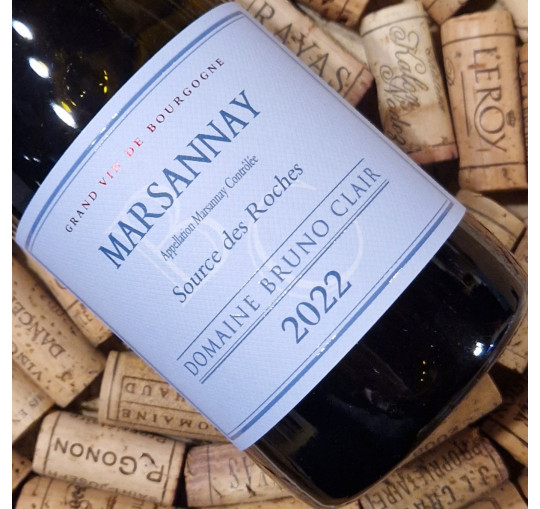 Marsannay blanc "Source de Roche" 2022