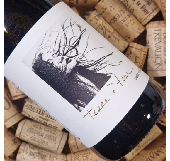 "Terre à Terre" Vin de France Rouge 2023