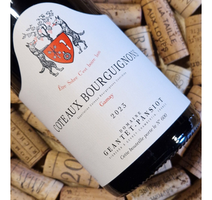 Coteaux Bourguignons Gamay rouge 2023