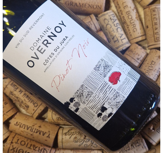 Côtes du Jura rouge "Pinot Noir" 2022