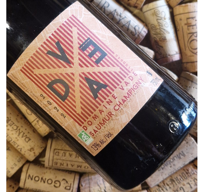 Saumur-Champigny rouge 2022