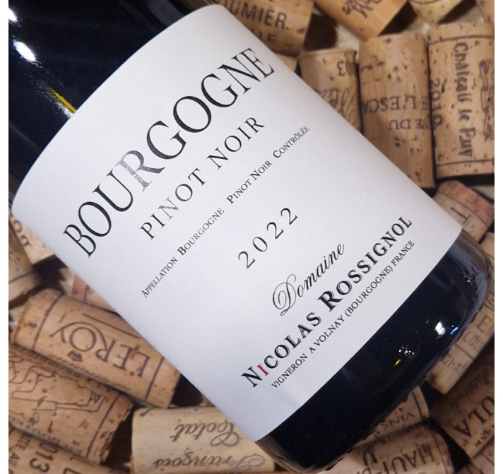 Bourgogne Pinot Noir 2022
