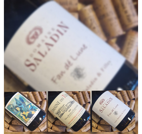 TRIO "Pépites du Rhône n°2"