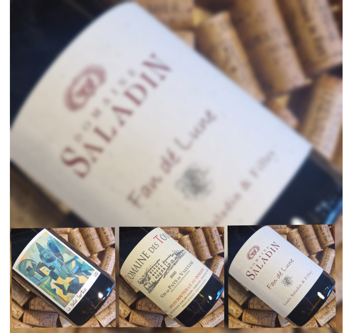 TRIO DOMAINE DES TOURS / SALADIN / GRAMENON