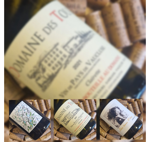 TRIO DOMAINE DES TOURS / GRAMENON / LAUR AILLAUD