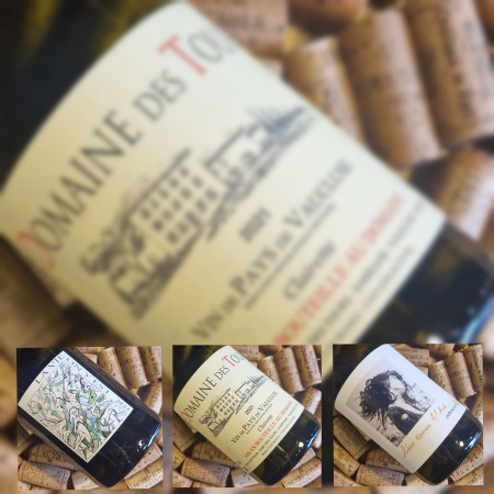 TRIO DOMAINE DES TOURS / GRAMENON / LAUR AILLAUD