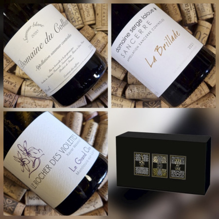 TRIO "Pépites de Loire n°2"