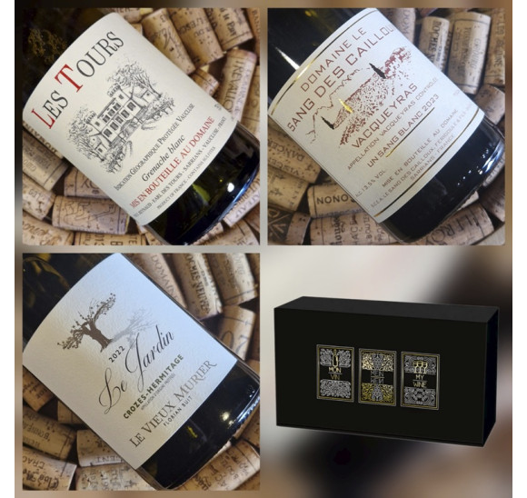 TRIO "Pépites du Rhône n°4"