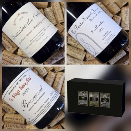 TRIO "Pépites de Loire n°4"