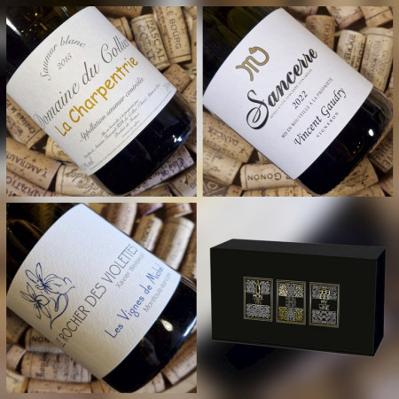 TRIO "Pépites de Loire n°1"