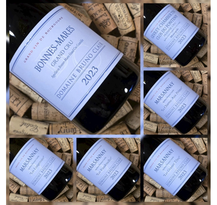 Caisse Panachée 6 bouteilles - Domaine Bruno CLAIR 2023