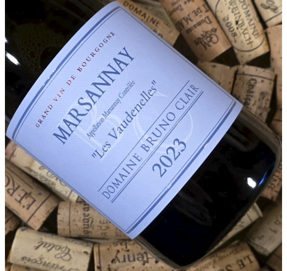 Marsannay blanc - Les Vaudenelles 2023