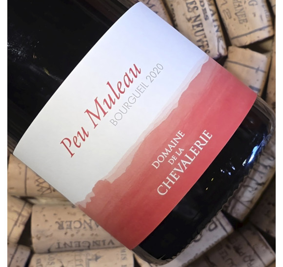 Bourgueuil "Peu Muleau" 2020