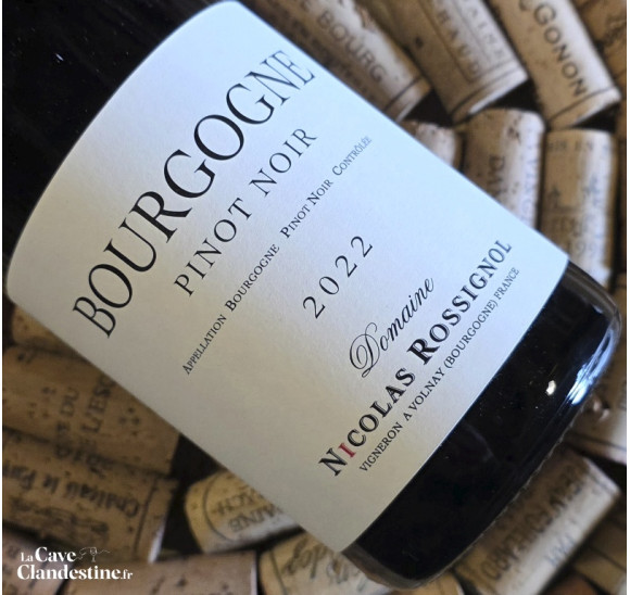 Bourgogne Pinot Noir 2022