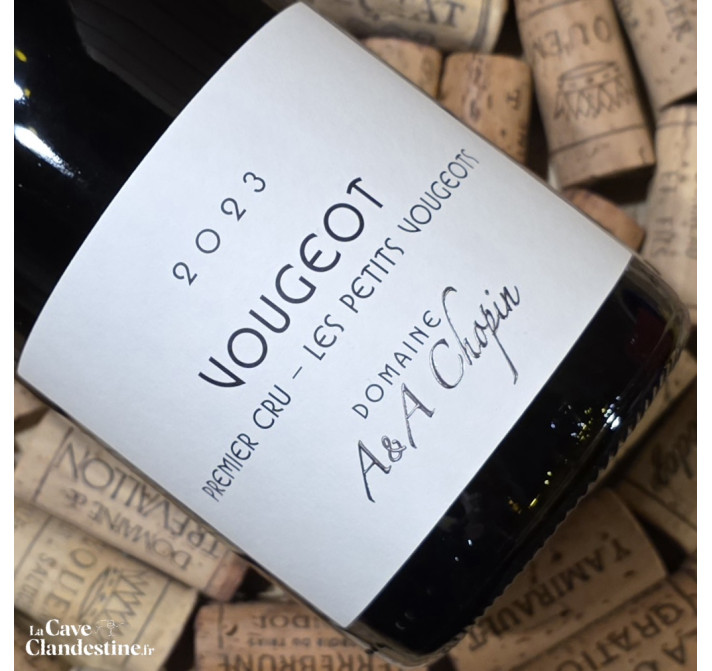 copy of Nuits Saint Georges 1er cru Les Damodes 2022