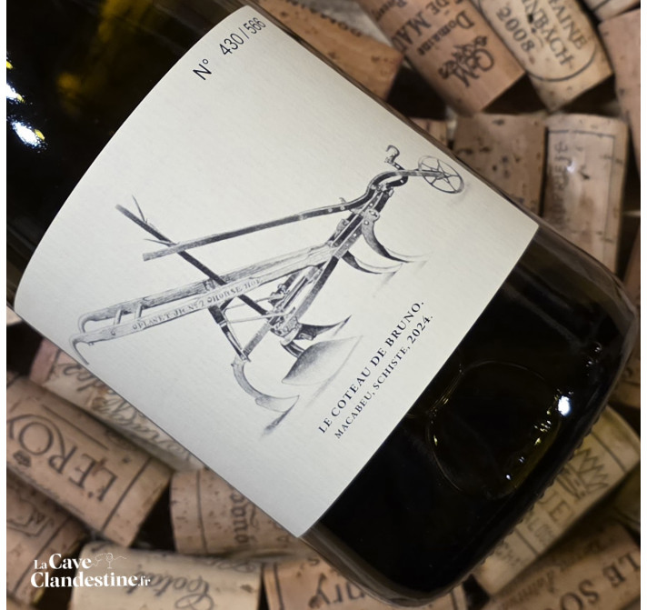 CLOS DU ROUGE GORGE – Le Coteau de Bruno 2024 – Vin de France blanc