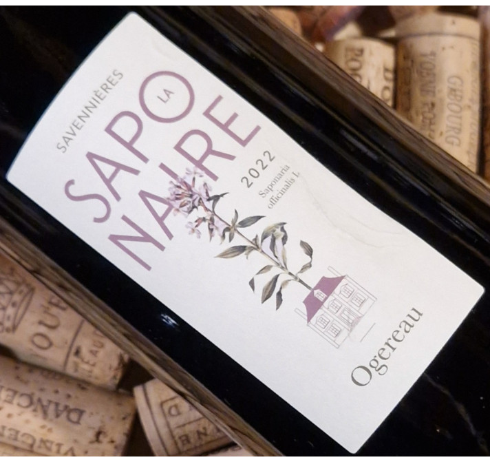 Savenières "La Saponaire" 2022