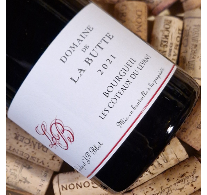 Bourgueil "Les coteaux du levant" 2021